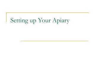 Setting up Your Apiary