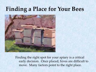 Finding a Place for Your Bees