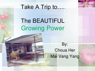 Take A Trip to…. The BEAUTIFUL Growing Power
