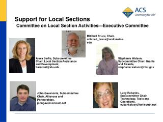 Support for Local Sections