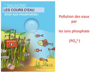 Pollution des eaux par les ions phosphate (PO 4 3- )