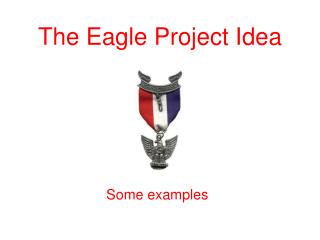 The Eagle Project Idea