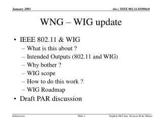 WNG – WIG update