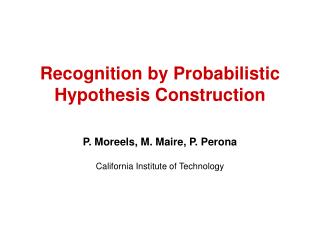Recognition by Probabilistic Hypothesis Construction
