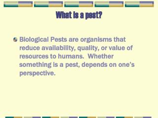 What is a pest?