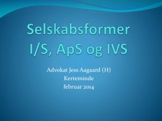 Selskabsformer I/S, ApS og IVS