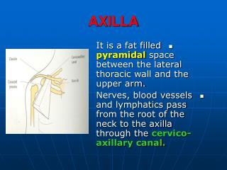 AXILLA