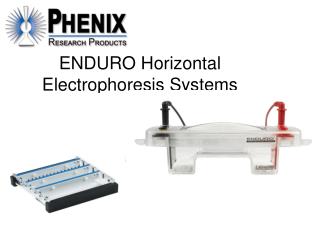 ENDURO Horizontal Electrophoresis Systems