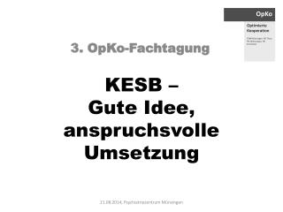 KESB – Gute Idee, anspruchsvolle Umsetzung
