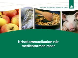 Krisekommunikation når mediestormen raser