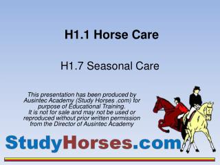 H1.1 Horse Care