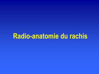 Radio-anatomie du rachis