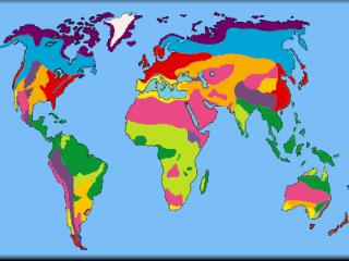 What makes a biome?