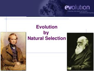 Evolution by Natural Selection