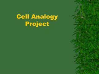 Cell Analogy Project