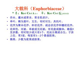 大戟科（ Euphorbiaceae ） * ♂： K 0-5 C 0-5 A 1-∞ ♀ ： K 0-5 C 0-5 G (3:3:1-2)