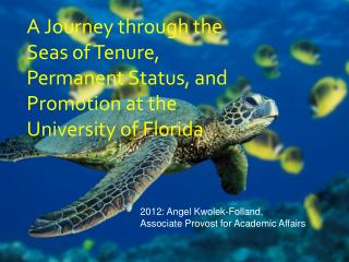 A Journey through the Seas of Tenure, Permanent Status, and Promotion at the University of Florida