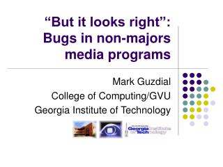 “But it looks right”: Bugs in non-majors media programs