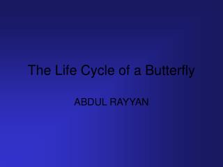 The Life Cycle of a Butterfly