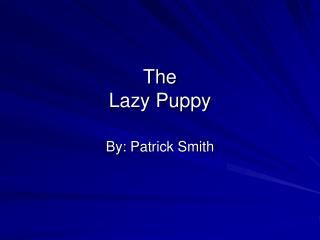 The Lazy Puppy