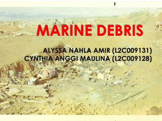 MARINE DEBRIS