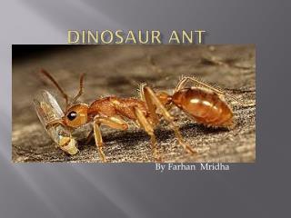 Dinosaur ant