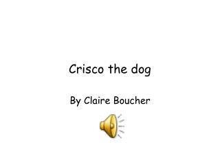 Crisco the dog