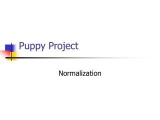Puppy Project