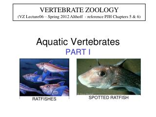 Aquatic Vertebrates PART I