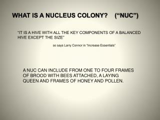WHAT IS A NUCLEUS COLONY? (“NUC”)