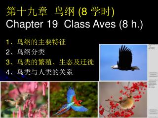 第十九章 鸟纲 (8 学时 ) Chapter 19 Class Aves (8 h.)