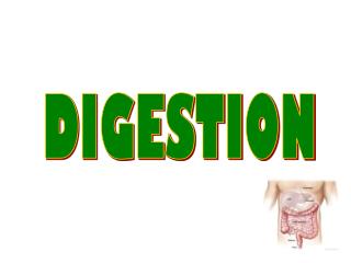 DIGESTION