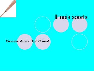 Illinois sports