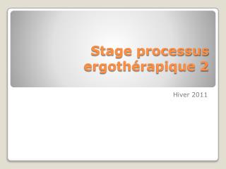 Stage processus ergothérapique 2