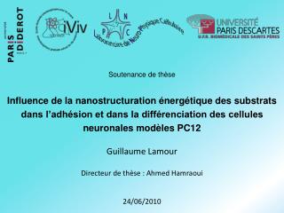 Guillaume Lamour Directeur de thèse : Ahmed Hamraoui 24/06/2010