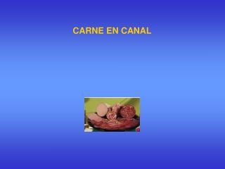 CARNE EN CANAL