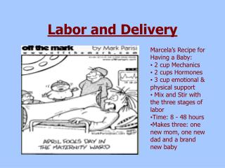 Labor and Delivery