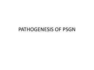 PATHOGENESIS OF PSGN