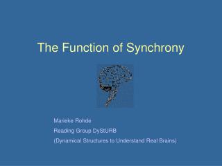 The Function of Synchrony