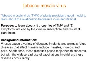 Tobacco mosaic virus