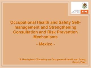 III Hemispheric Workshop on Occupational Health and Safety. Cuzco, Peru .