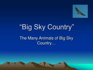 “Big Sky Country”