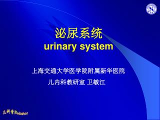泌尿系统 urinary system