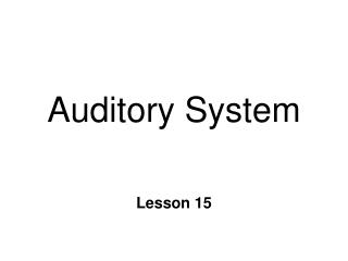 Auditory System