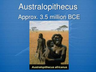 Australopithecus Approx. 3.5 million BCE