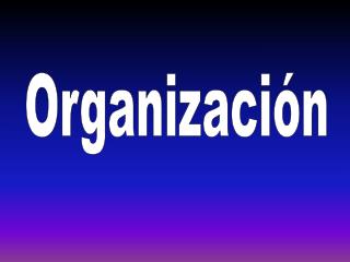 Organización