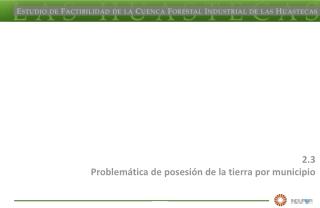 2.3 Problemática de posesión de la tierra por municipio