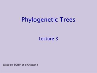 Phylogenetic Trees Lecture 3