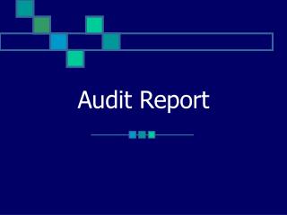 Audit Report