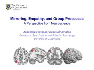 Mirroring, Empathy, and Group Processes A Perspective from Neuroscience
